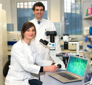 Am Zellkulturmikroskop:  Diplom-Biologin Carolina Brandstetter und Privatdozent Dr. med. Tim U. Krohne