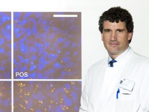 Prof. Dr. med. Tim U. Krohne