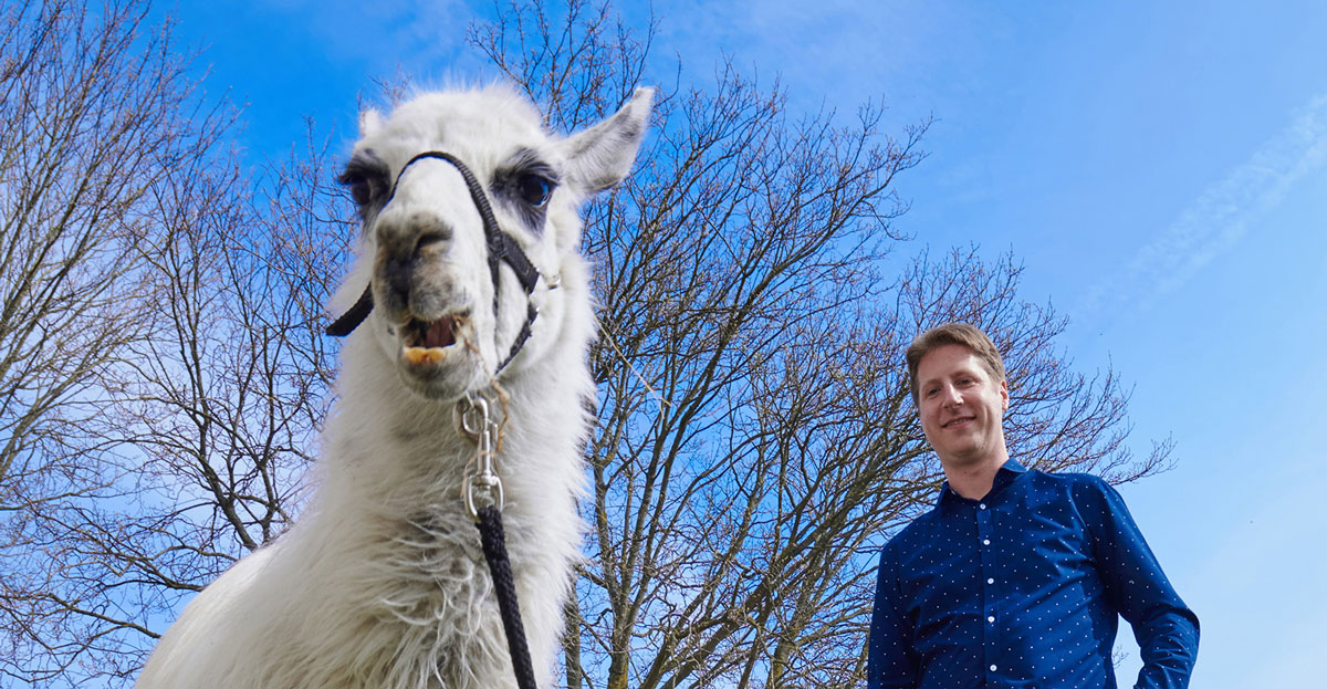 Dr. Florian Schmidt vom Institut für Angeborene Immunität der Universität Bonn mit einem Lama