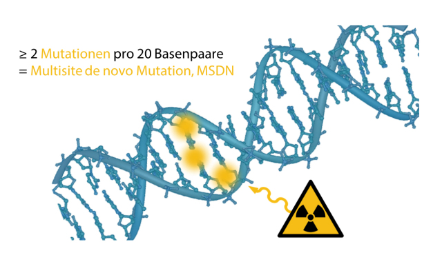 Typische Mutationen bei Kindern von Radarsoldaten