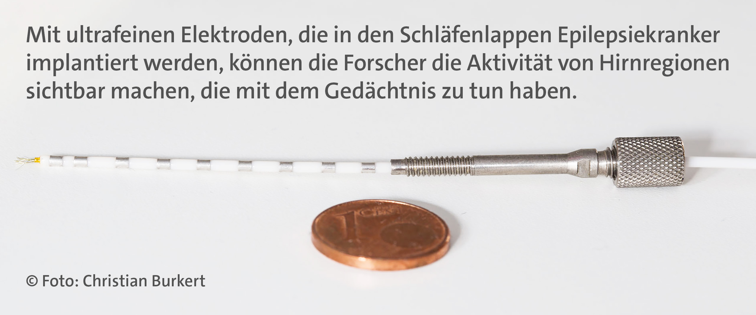Grafik mit 1 Cent Stück neben einer Elektrode, die in den Schläfenlappen Epilepsiekranker implantiert werden kann