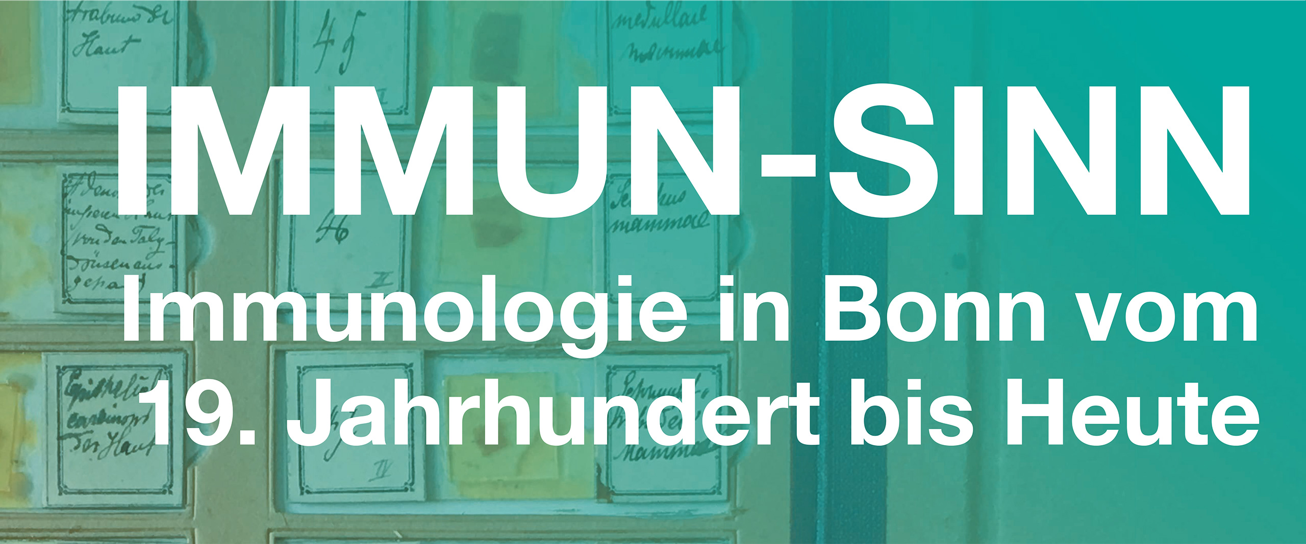 Banner IMMUN-SINN: Vortrag über die Alzheimer-Krankheit und ihre immunologischen Aspekte