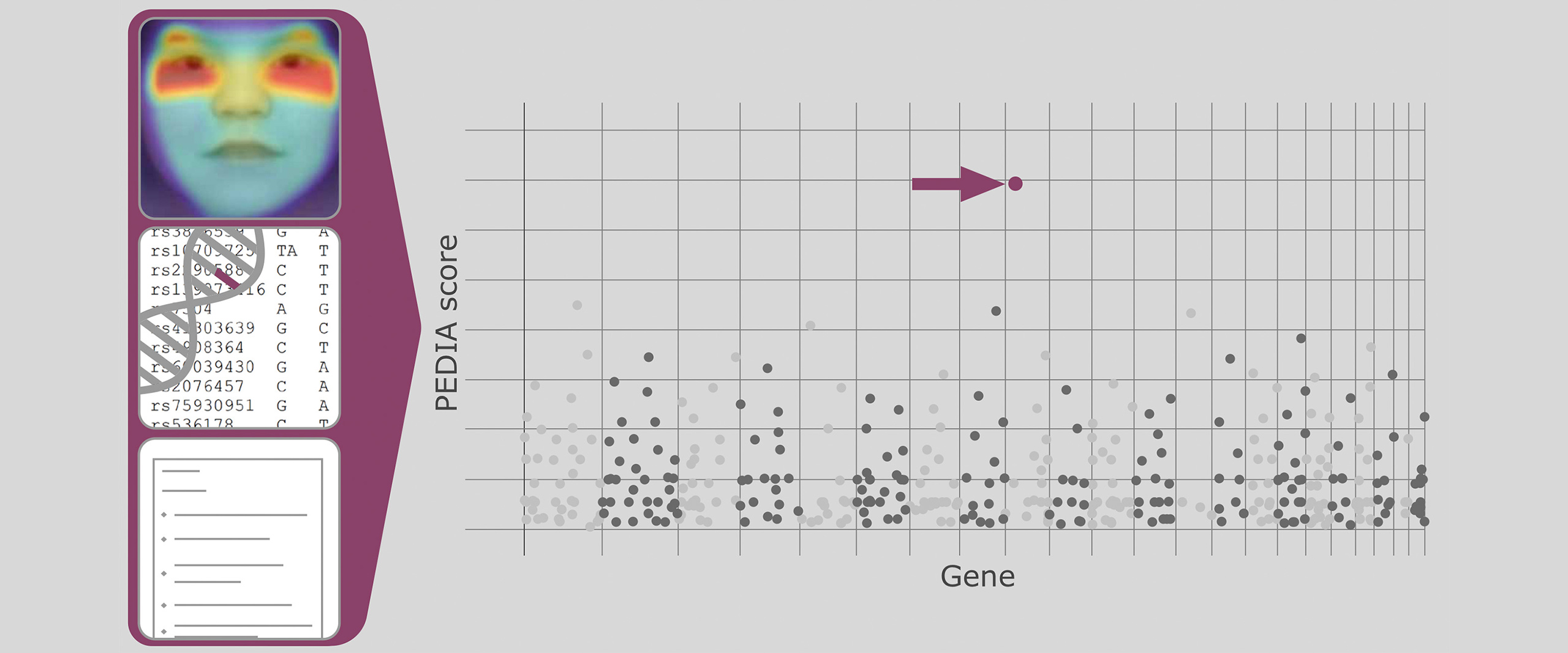 Mit Künstlicher Intelligenz zur Diagnose seltener Erbkrankheiten