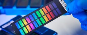 Genotypisierung im Hochdurchsatz