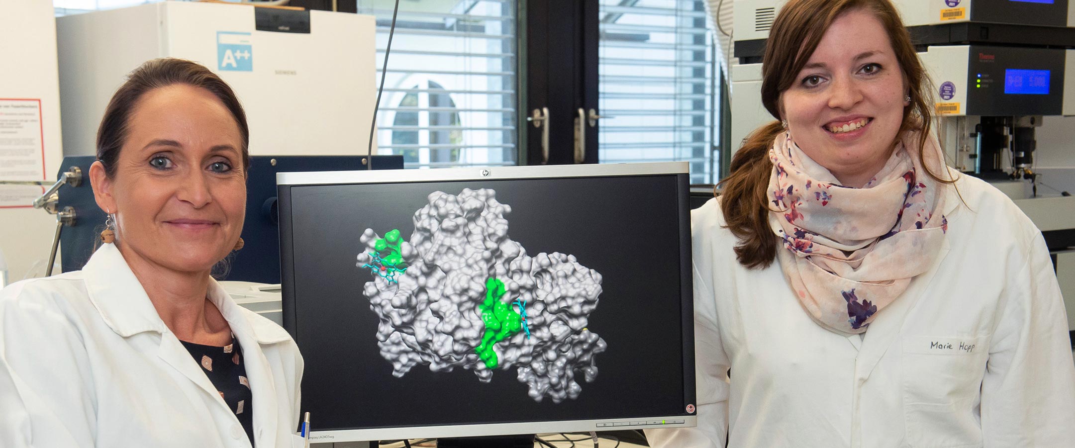 Prof. Dr. Diana Imhof (links) und Marie-Thérèse Hopp vom Pharmazeutischen Institut der Universität Bonn neben dem Strukturmodell von APC mit den Bindungsstellen für Häm (grün).