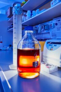 Flasche mit Flüssigmedium für Bakterien, die in dieser Studie verwendet wurden, um Nanobodies rekombinant zu produzieren.