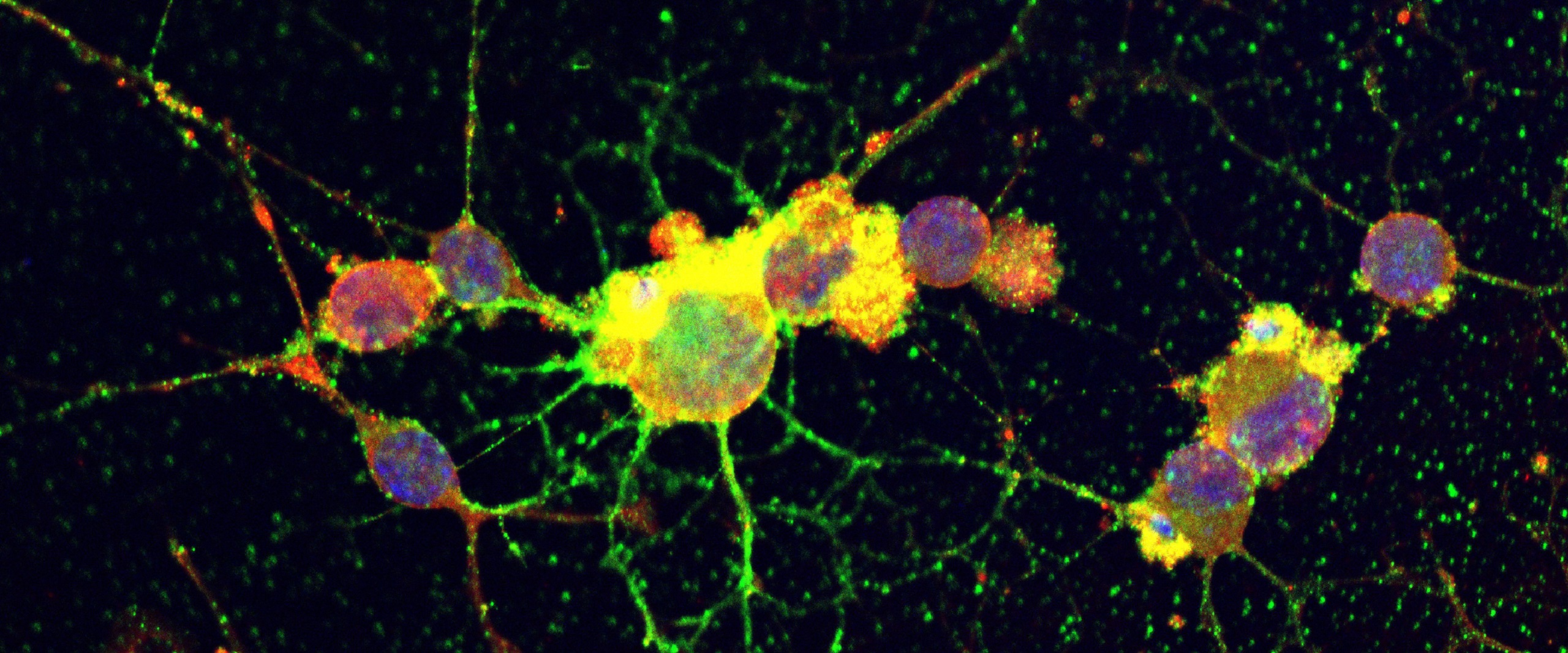 Kürten Fluoreszenz