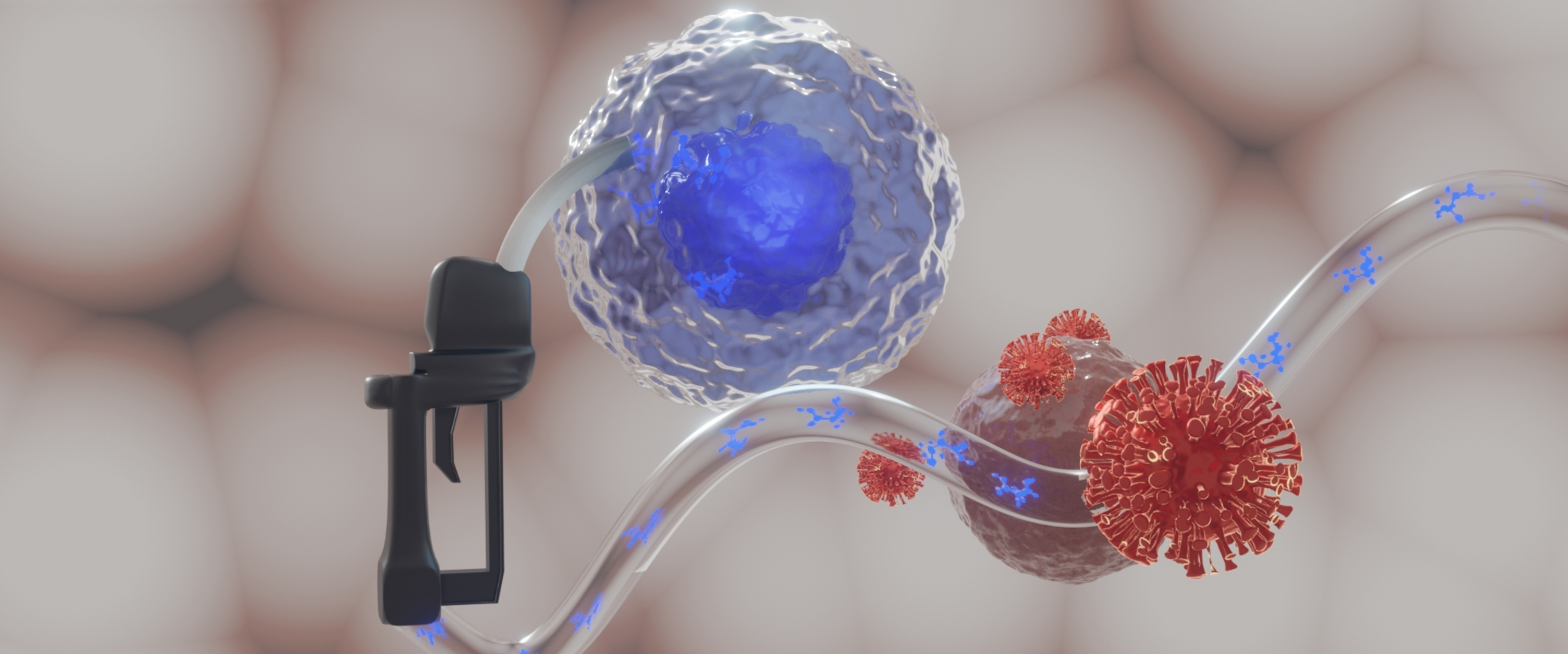 Covid-19: Neue Energie für schlappe Immunzellen