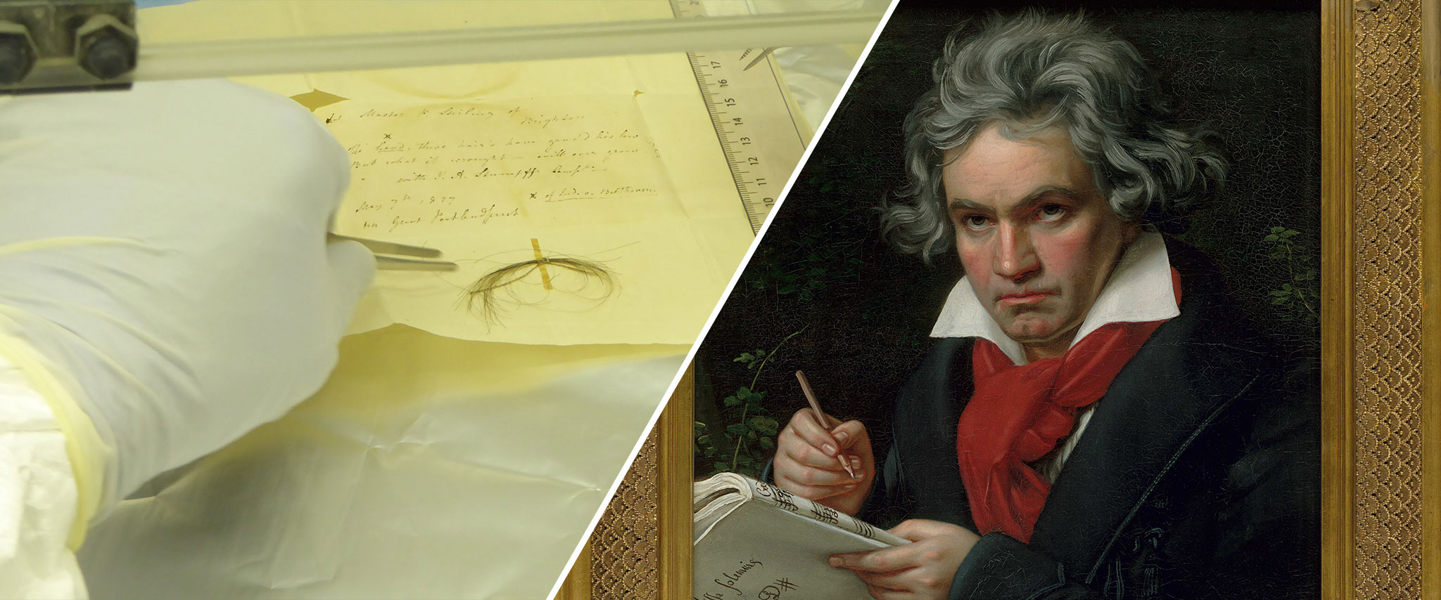 Beethovens Genom gibt Aufschluss über Gesundheit und Familiengeschichte des Komponisten