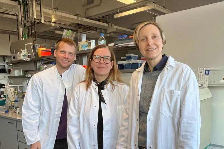 Dr. Alexander Seidinger, Dr. Michaela Matthey und Prof. Dr. Daniela Wenzel