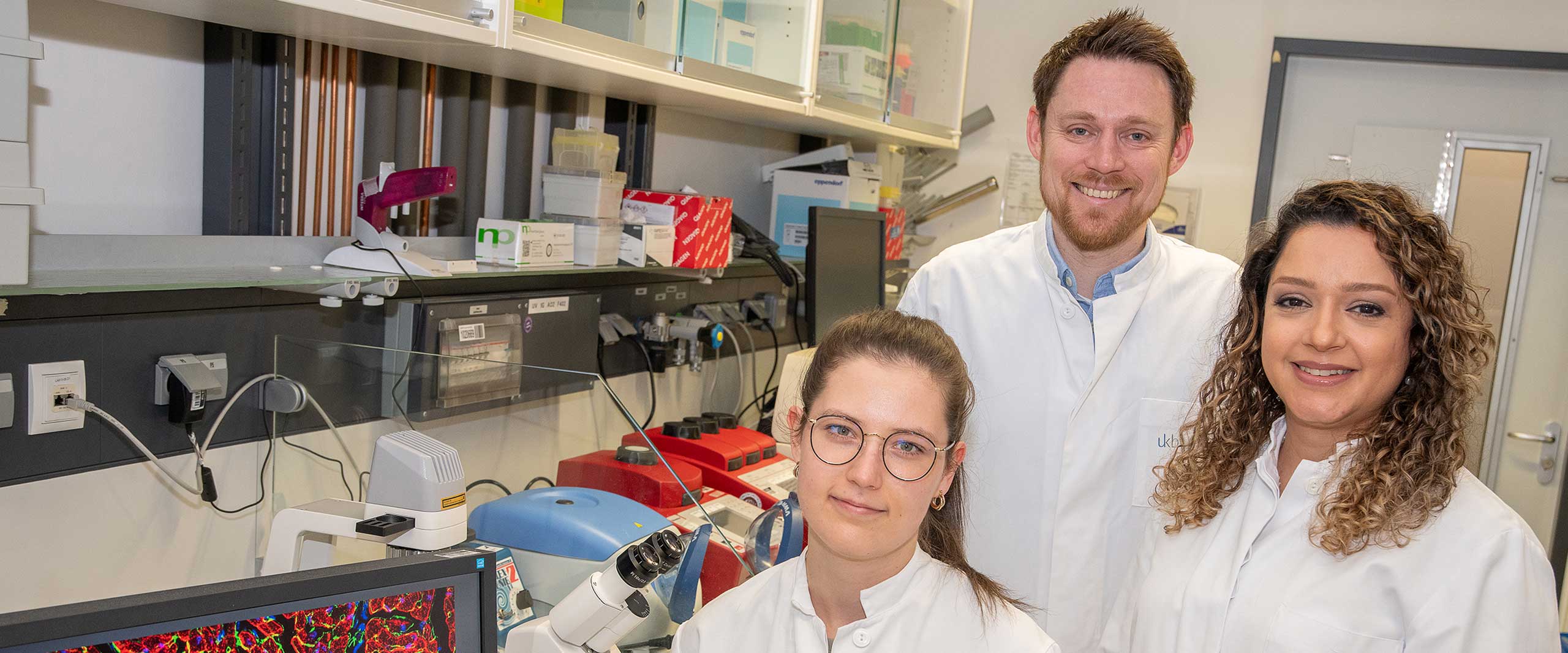 Neues Verständnis der Herzregeneration