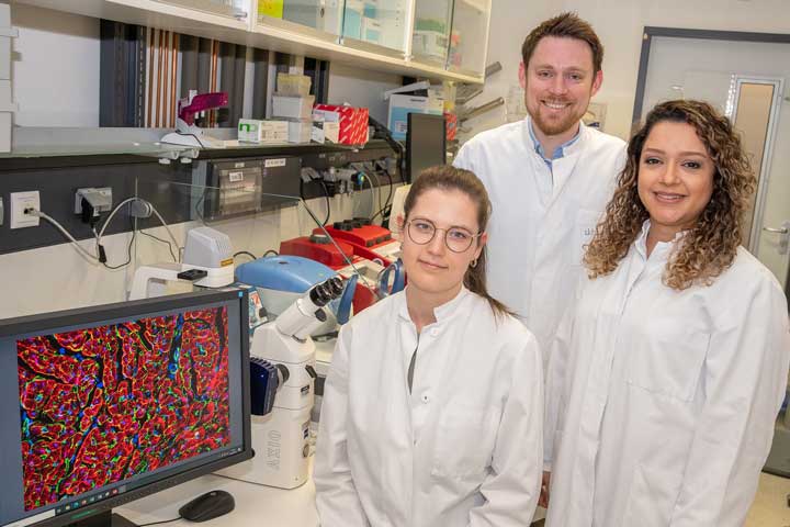 Julia Nicke, Dr. Fabian Ebach und Dr. Mona Malek Mohammadi